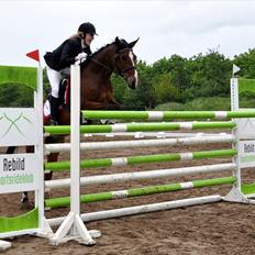 DSP Bakkelys Rozitta