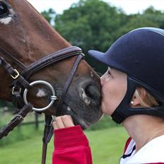 Hollandsk Sportspony iris