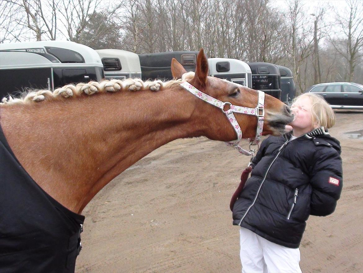 Anden særlig race Beauty  - Min dejlige Beauty giver lige et dejligt vinder kys .... billede 4