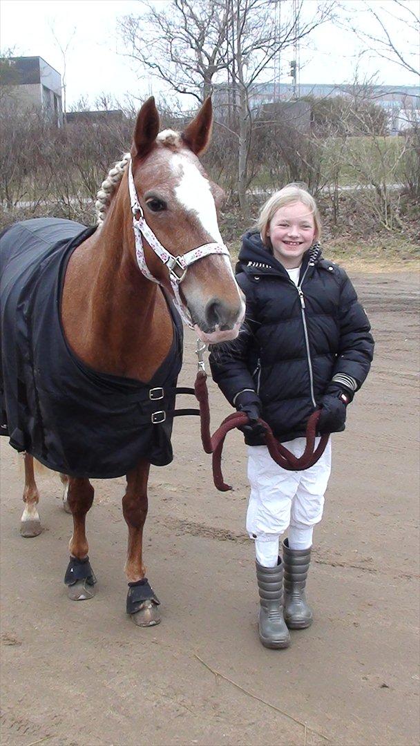 Anden særlig race Beauty  - efter stævne i Hammerum pony uge 
elsker bare den pony  billede 6