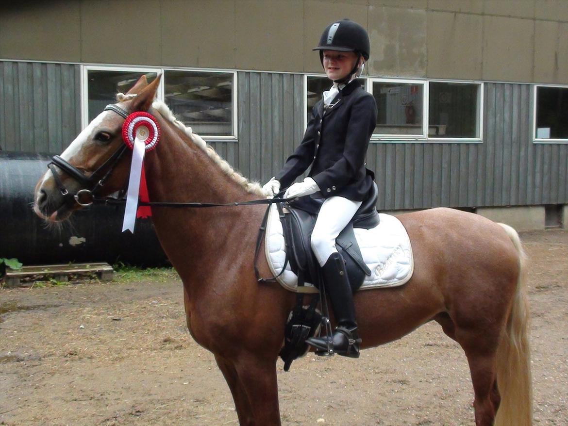 Anden særlig race Beauty  - man skal aldig være sur når man får taget billeder  billede 5