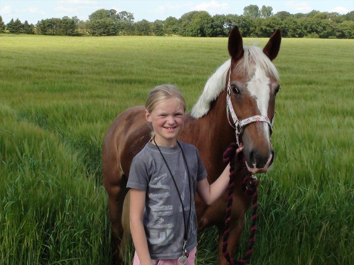 Anden særlig race Beauty  - dejlig dag i solskin på sommerferie 2011 billede 3