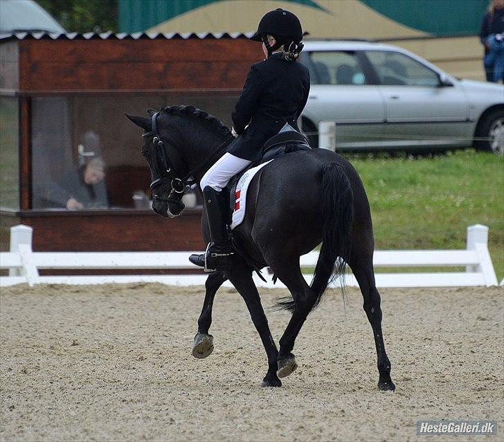 Anden særlig race Magic Manipu <3 - NM 2011 billede 4