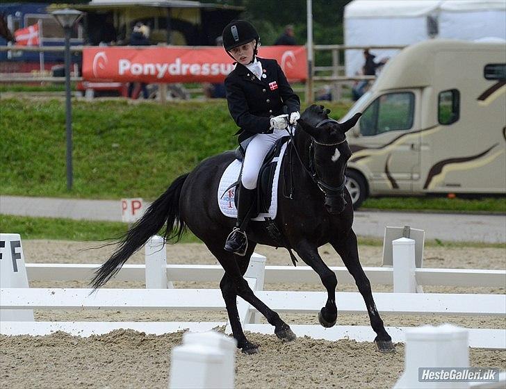 Anden særlig race Magic Manipu <3 - NM 2011 billede 1