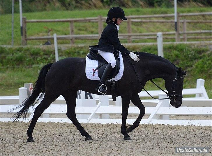 Anden særlig race Magic Manipu <3 - NM 2011  billede 13