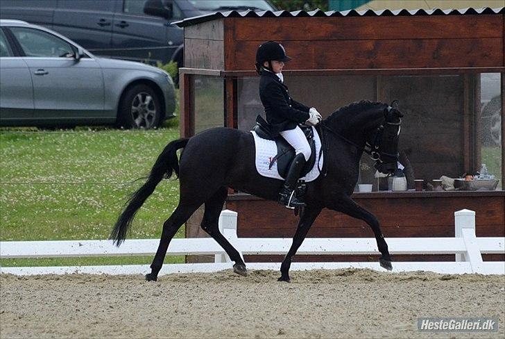 Anden særlig race Magic Manipu <3 - Nm 2011 billede 2