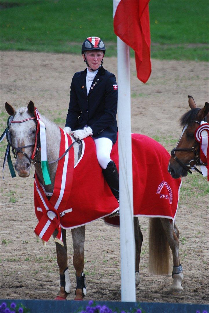 Appaloosa Simly Red - Blev nr. 4 individuelt til nordisk mesteskab i military 2011 og vandt guld for hold :-) billede 3