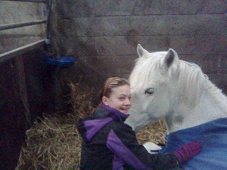 Knabstrupper Snowball - min pony<3 fik ham den 1.5.11 og er mega glad for ham her ser man os inden han var min;P billede 17