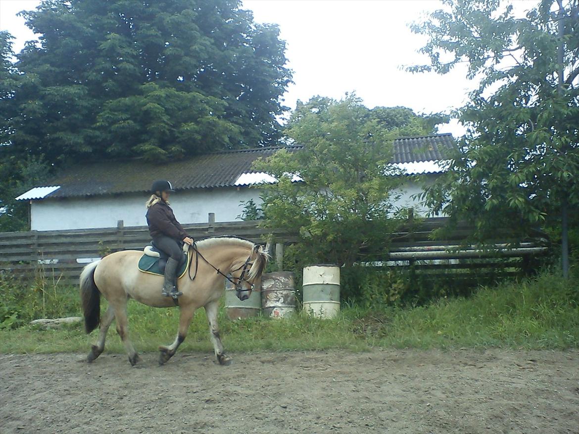 Fjordhest Mastrup Ally  - Ally og mig dressur 13/7-11 billede 16