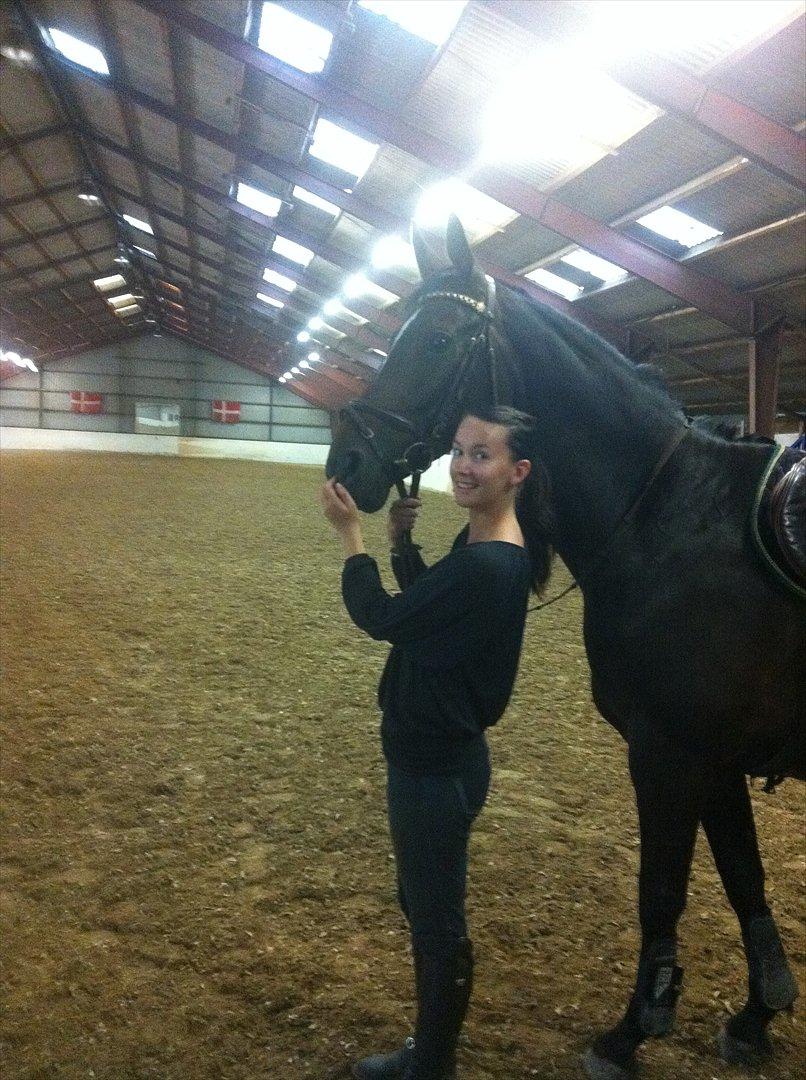 Westfaler Roma - Min skønne hest!  billede 11