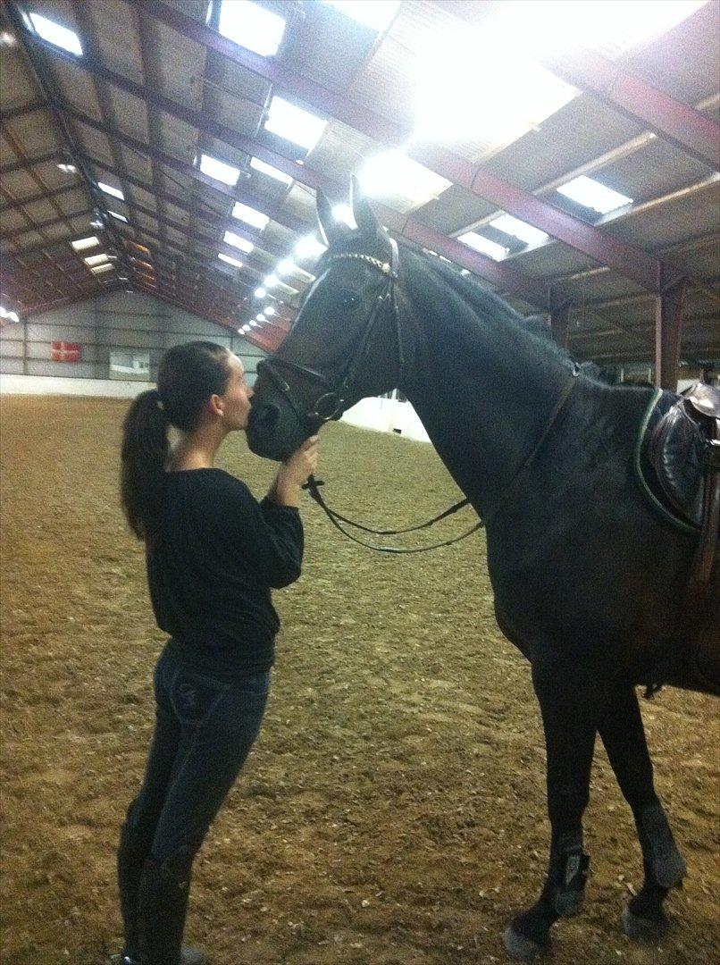 Westfaler Roma - I love you!  billede 12