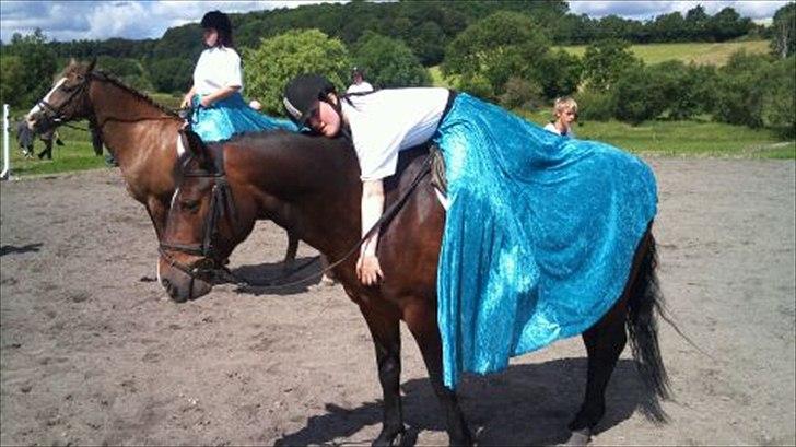 Connemara Limelight billede 1