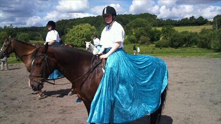 Connemara Limelight billede 2