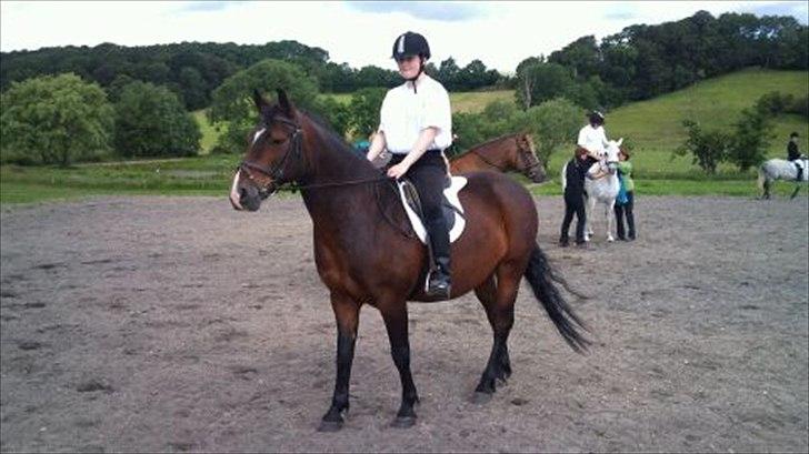 Connemara Limelight billede 3