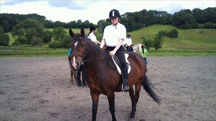 Connemara Limelight billede 4