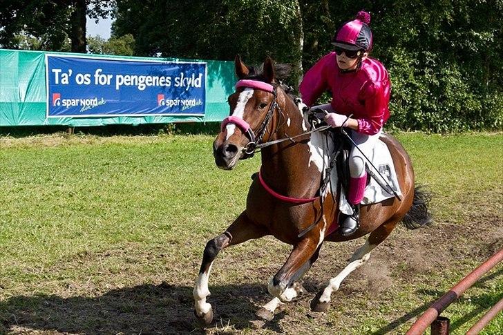 Pinto Secret Princess billede 7