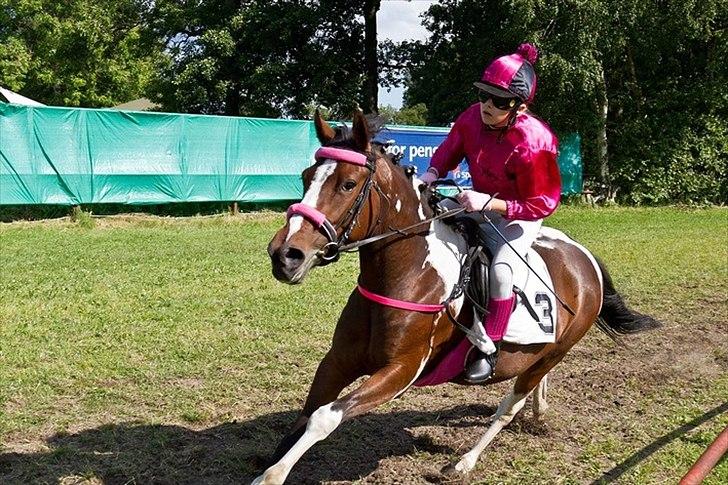 Pinto Secret Princess billede 8