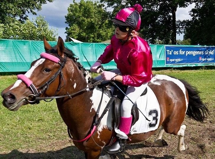 Pinto Secret Princess billede 3