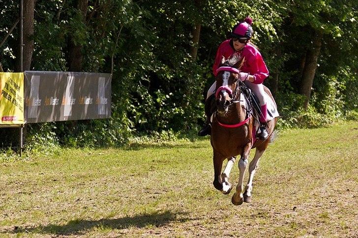 Pinto Secret Princess billede 9