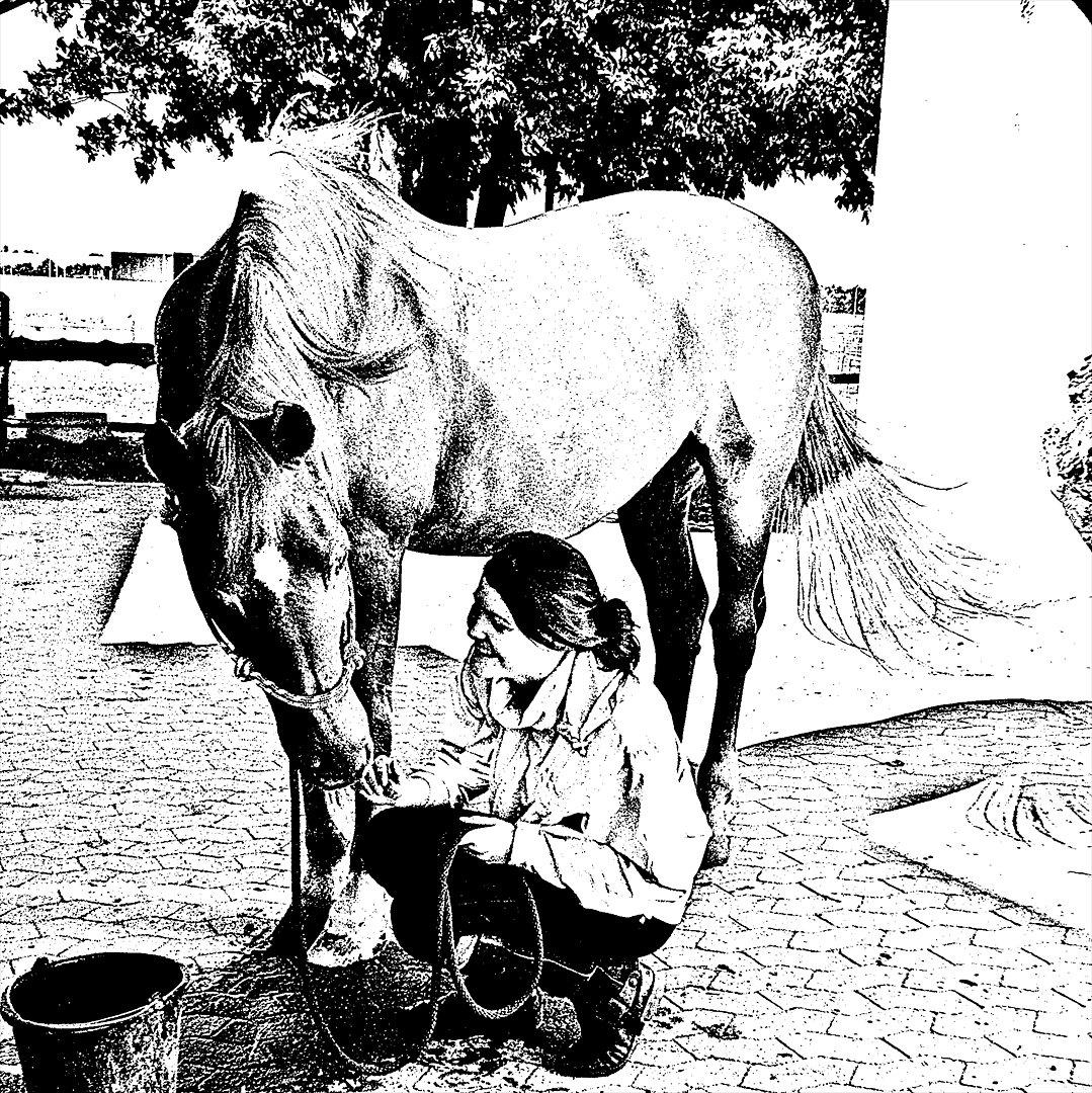 Anden særlig race Alvin - Det der gør livet værd at leve <3 - you were my strengt, you were my fear.. fearless with you, but scared when you not near.. forever and always is where we should be, forever and always is just you and me..
- Team Bidløs<3 billede 12