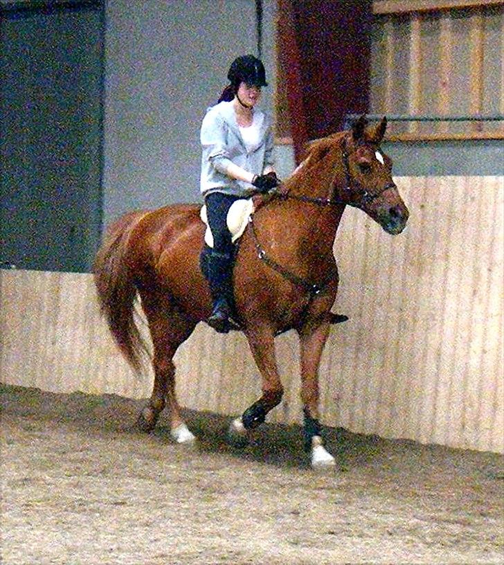 Anden særlig race Alvin - Det der gør livet værd at leve <3 - Jeg tror ikke, jeg ville kunne uden dig.. du har med tiden fået så stor en plads i mit hjerte, at du er uerstattelig :( billede 13