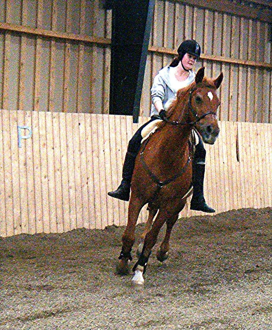 Anden særlig race Alvin - Det der gør livet værd at leve <3 - Vores forandringer, er utrolige..   måske går du ikke til biddet, måske har du ikke en vild gang.. men du har noget andre ikke har, og det er tillid <3 billede 14