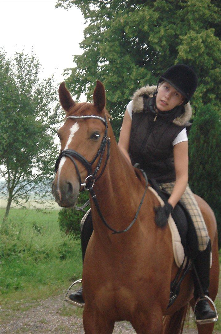 Hannoveraner | Werber Welt - Werber og mig... billede 12