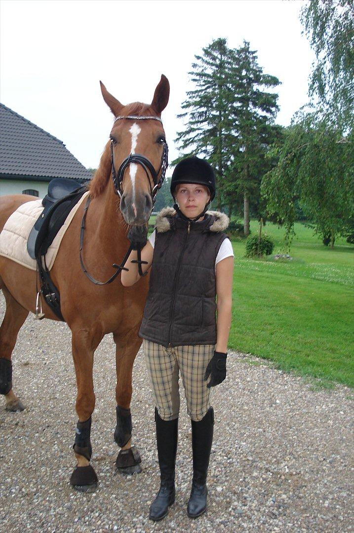 Hannoveraner | Werber Welt - Efter en vellykket træning... billede 14