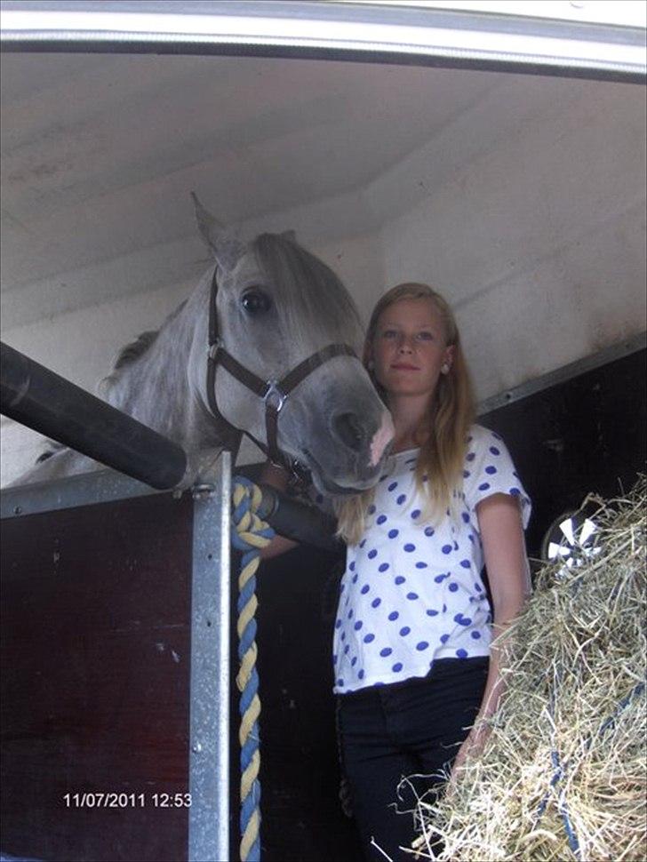 Anden særlig race Miss Perfect *solgt* - På vejen til København=) billede 3