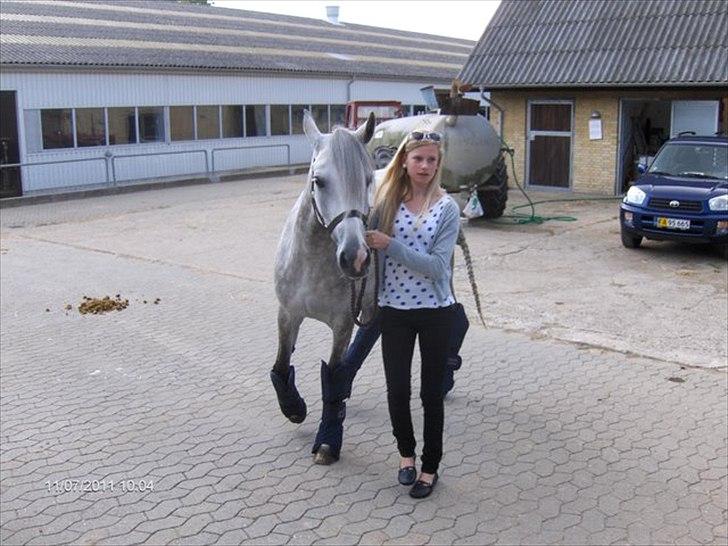 Anden særlig race Miss Perfect *solgt* - Da vi var oppe og hente hende. billede 7