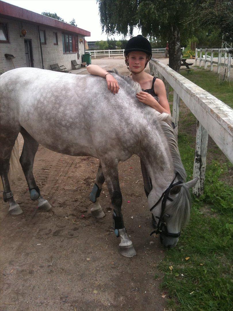 Anden særlig race Miss Perfect *solgt* billede 15