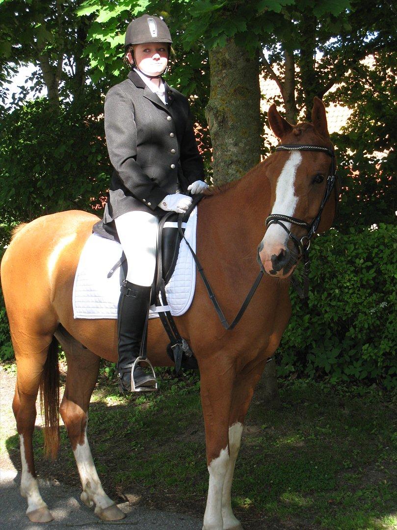 Anden særlig race Joep *SOLGT* - Efter vores første program. billede 2