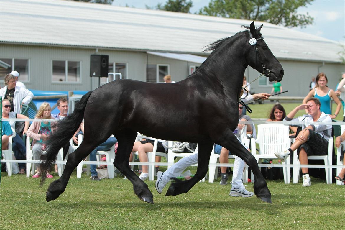 Frieser Neeltje Jacoba V. Swichum - Taget af Lfoto.dk billede 13