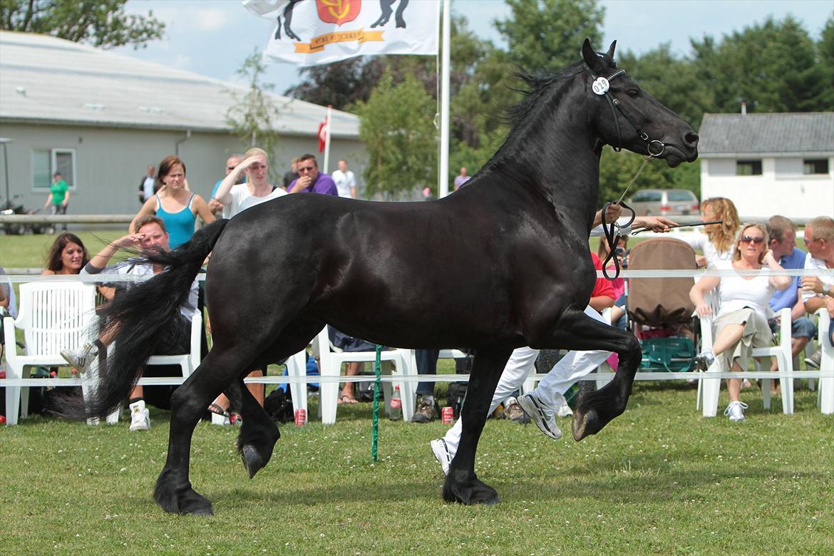 Frieser Neeltje Jacoba V. Swichum - Taget af Lfoto.dk billede 14