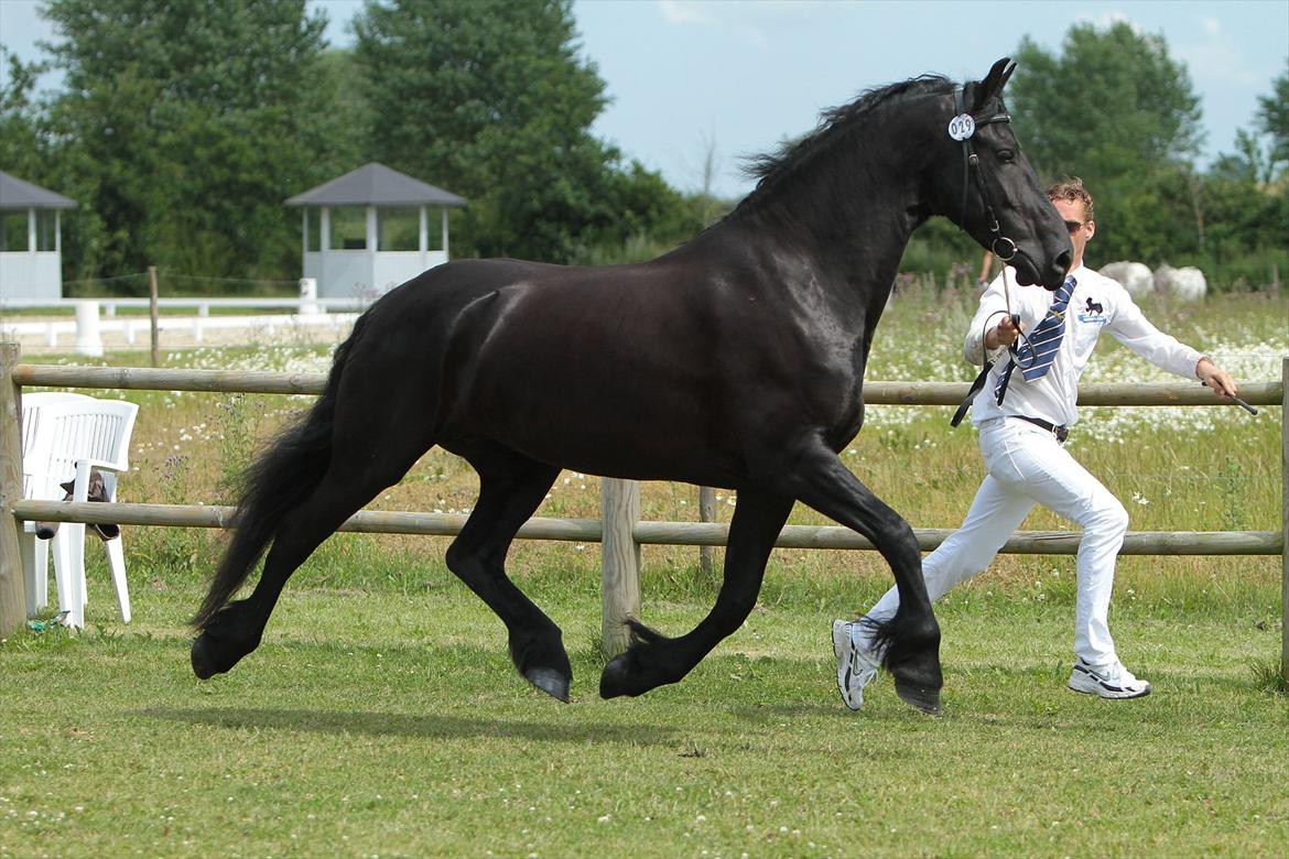 Frieser Neeltje Jacoba V. Swichum - Taget af Lfoto.dk billede 15