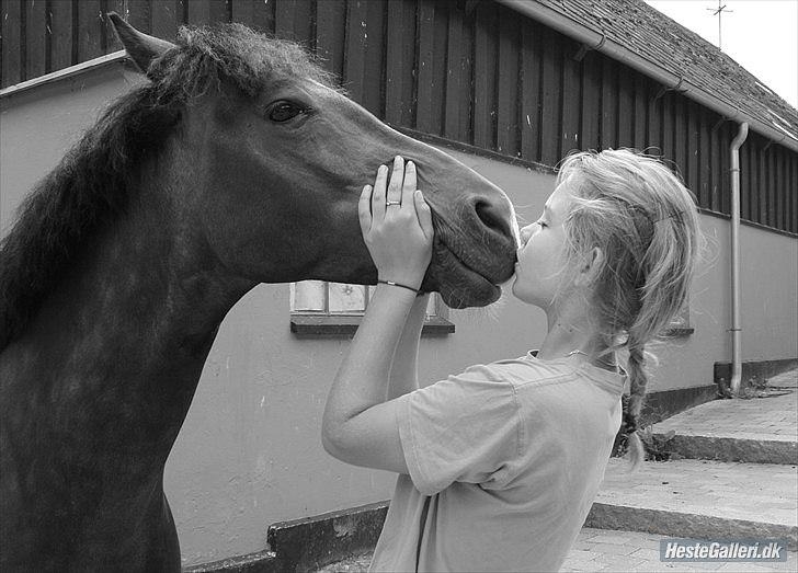 New Forest Margo<3 - mussi:* billede 2