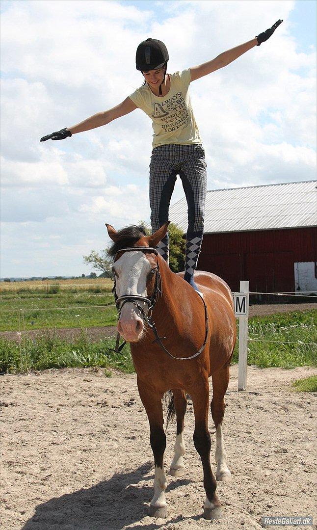 Anden særlig race Roos.Casillero Del Diablo - Vors hjemmelavede ridelejr dag 1. Hygge lige dér :p jeg står op på Kassen's ryg, imens han bare tænker "Hvad laver hun??" xD 12/7 2011. billede 13