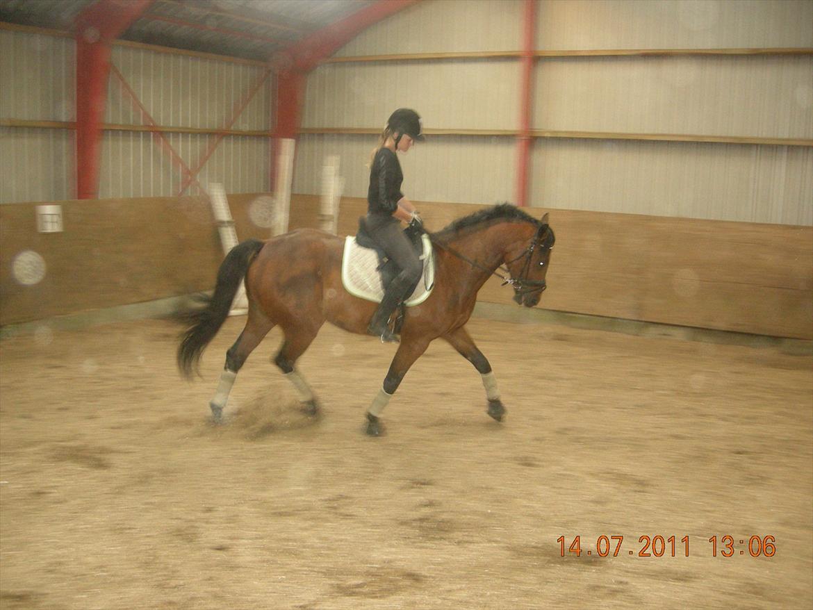 Anden særlig race Frederik Eliselund<3 billede 6