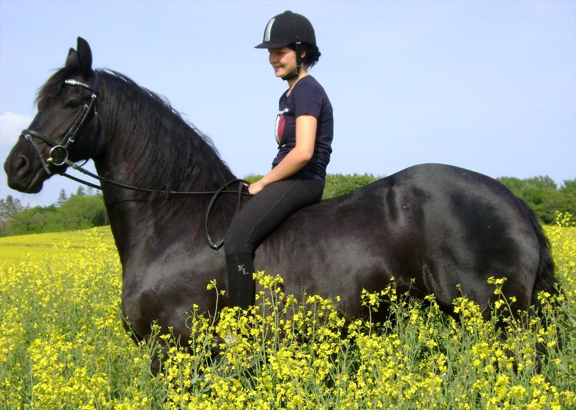 Frieser Linda A billede 12