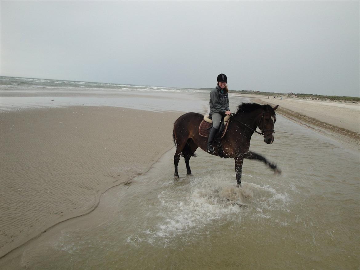 Anden særlig race A'strix - A'strix leger i vandet <3 (Se evt. videoen med A'strix). billede 9