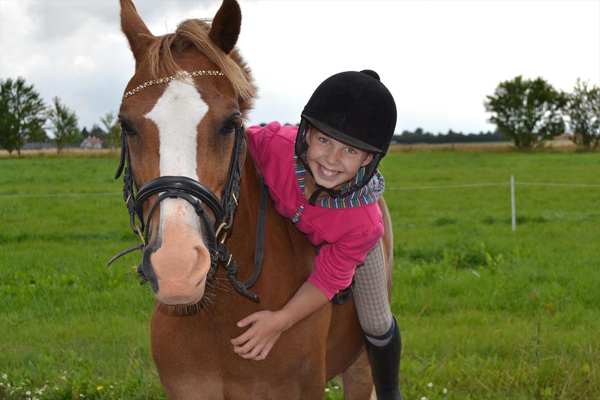 Hollandsk Sportspony Jupeter *SOLGT* - SMIIIIIIIIL<3 Foto: Mor billede 6