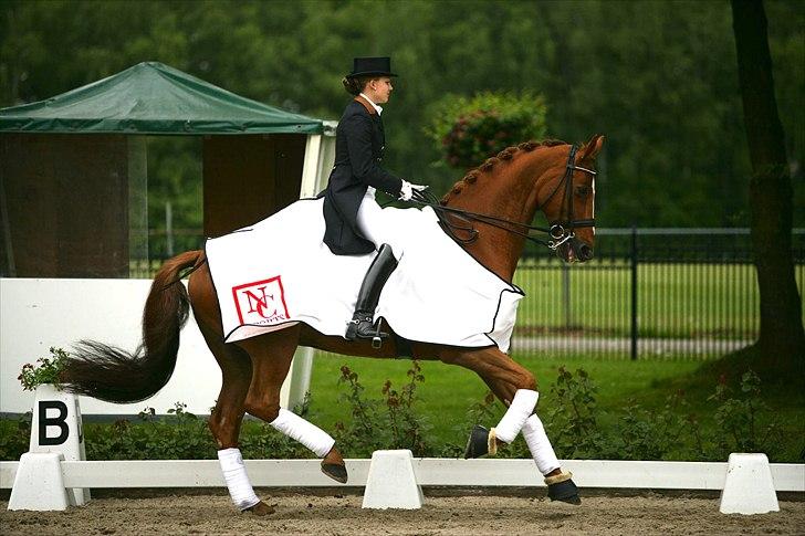 Anden særlig race Aithon - Aithon vinder internationalt stævne i Holland :) billede 7