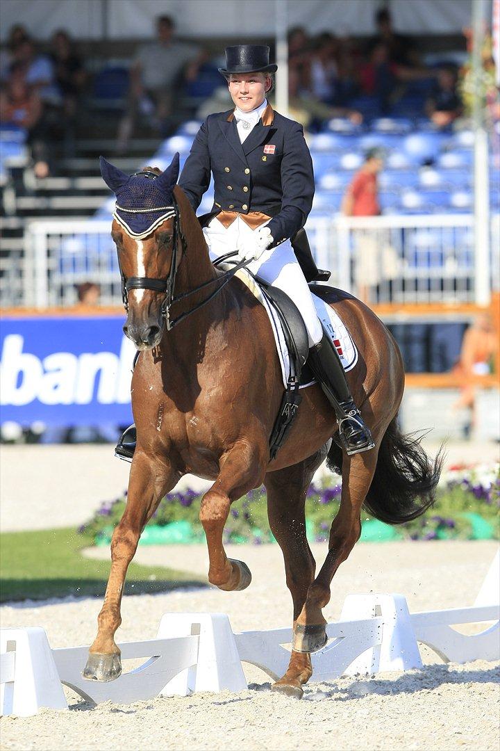 Anden særlig race Aithon - A-finalen ved Europamesterskabet 2009.  billede 13