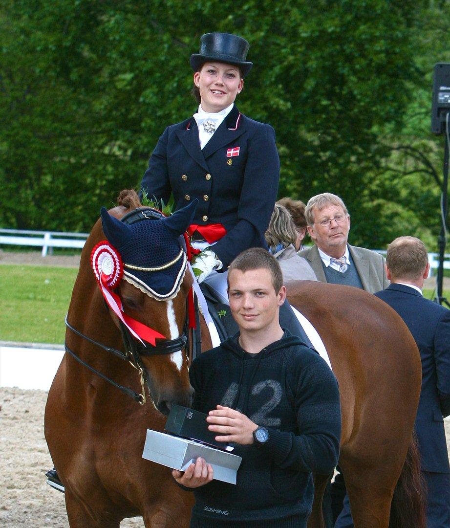 Anden særlig race Aithon - Hattrick ved ECCO kvalifikation på Broholm 2011.  billede 15