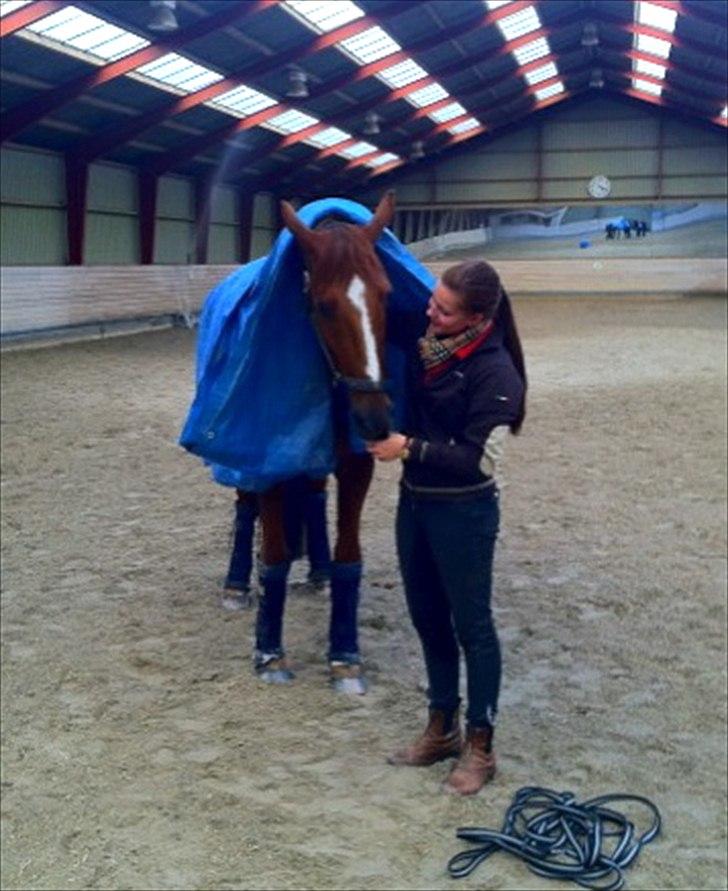 Anden særlig race Aithon - Aithon under presenning-leg :)  billede 16