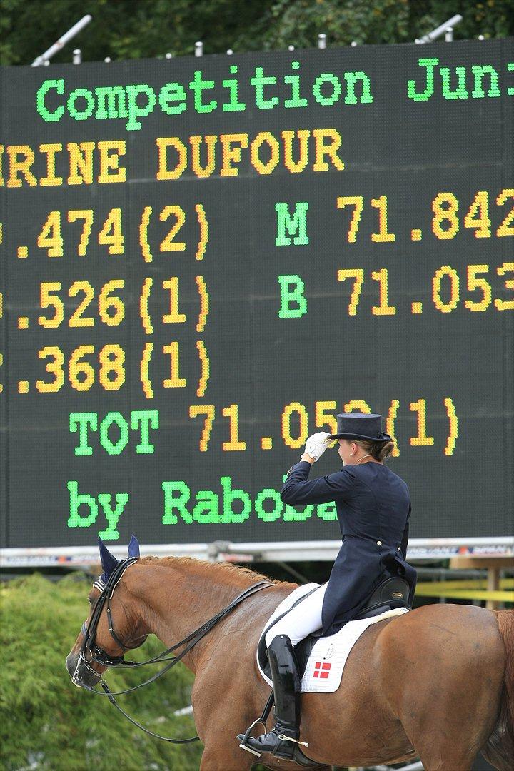 Anden særlig race Aithon - Resultatet efter vores finale-ridt ved EM 2009. billede 17