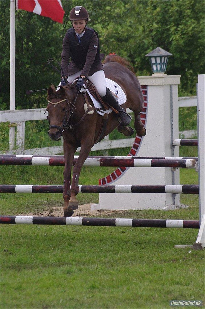 Tysk Sportspony Lindenbooms Patrizia(Amy) - Nice bagben Amy :'D <3
Foto: Sarah Wheler <3 billede 4