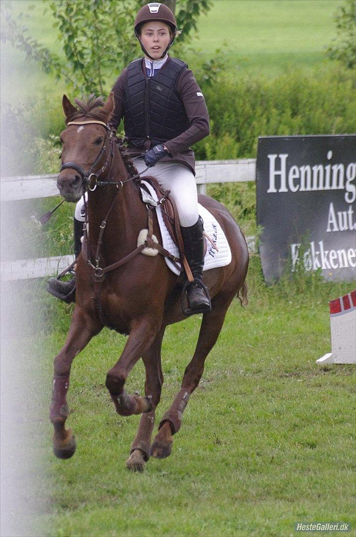 Tysk Sportspony Lindenbooms Patrizia(Amy) - I realy LOVE you!! <3

foto: Sarah Whelet <3 billede 18