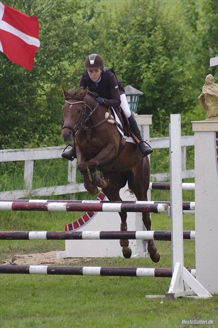 Tysk Sportspony Lindenbooms Patrizia(Amy) - Jeg Elsker dig virkelig Amy ikke kun fordi du bare er så fucking perfekt men også fordi du bare er min evige optur :* <3
Foto: Sarah Wheler :'D billede 19