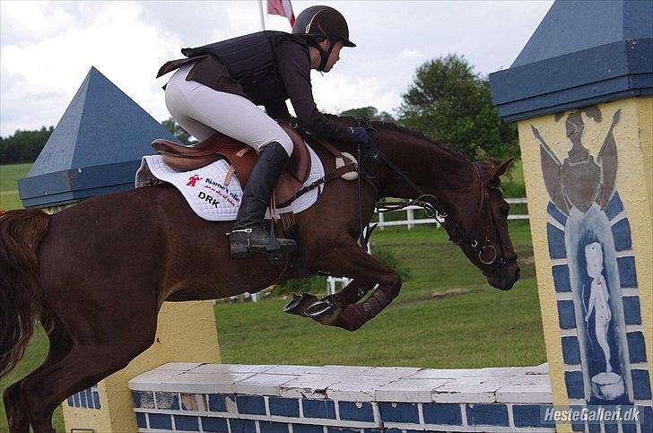 Tysk Sportspony Lindenbooms Patrizia(Amy) - Der er et eller andet over det der billed det er bare os i en nødeskal :* <3

Foto: Sarah Wheler <3 billede 20